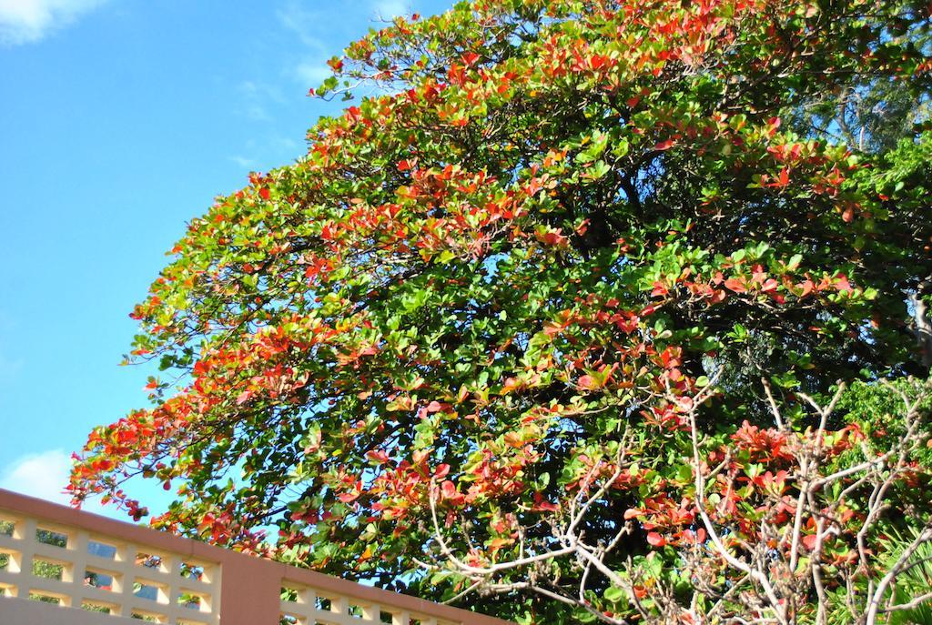 Hotel Imperial Cap-Haïtien 外观 照片